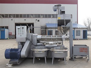 榨油機(jī)的具體工藝是怎樣的呢？